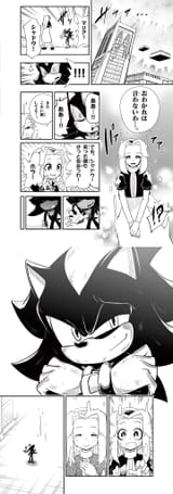 Smile - Jet Black Hedgehog 6