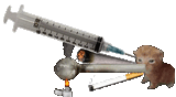 crackbert2joint