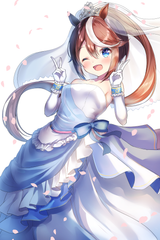 tokaiwife