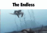 Halo endless
