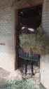 [1948046953096323079][sound=files.catbox.moe%2F1q89cy.m4a]_thumb.jpg