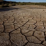 drought-encylopedic-entry