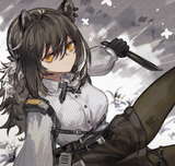 robin 49