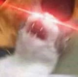 1625638815995