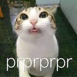images (12)