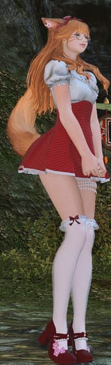 ginger kot