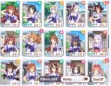 Screenshot_2025-07-25-15-29-04-576_com.cygames.umamusume