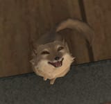 Thread image