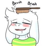 brush brush