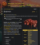 brahmin