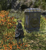 old gridania fc box