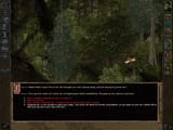 imoenoldromance