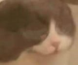 hi_6