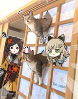 a6f66320d32edb830d8aceb699f36709