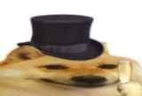 1673757148486267