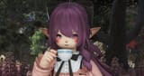 ffxiv_dx11_AVaWpNoC62