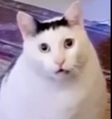 1753463493706863