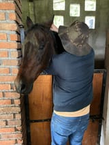Parrandero