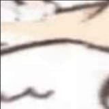 1738629544320726