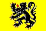 51MVdnigaVL._UF894,1000_QL80_