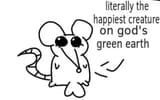 rat