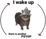 1742058542813460