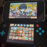 21345156