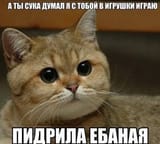 1653848460862