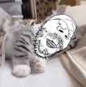 cats_thumb.jpg