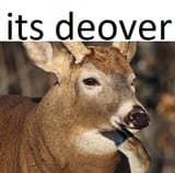 1694556678171855