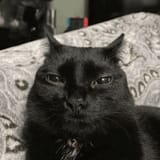 tired