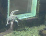 PatrickSittin