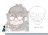 differences-male-female-skull-illustration-45207974_jpg