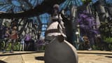 glub dodo