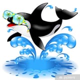 posters-killer-whale-cartoon-with-sunglasses-orca-con-occhiali-da-sole.jpg