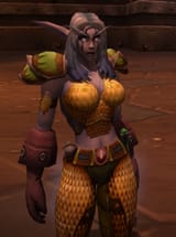 nelfhunter