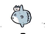molamola