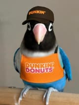 SweetLemonTVDunkin