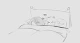 Kralsei bed sleep
