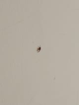 IMG_20250726_130812