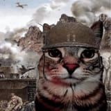 war