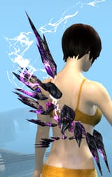 Branded_Backpiece