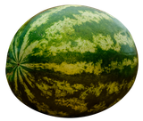 1732360056449284