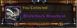 blisterbackbloodtusk