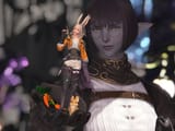 Stupid small fiera