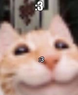 1682400556354718