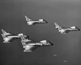 F7U-3_Cutlass_fighters_of_VF-81_in_flight_in_1954