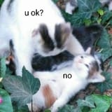 GwfYvdbXIAA5yV7