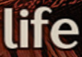 life