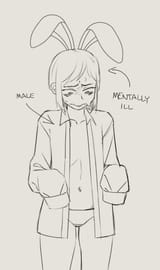 average miera